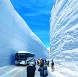 Снежный коридор в Японии
