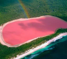 Розовое озеро Хиллиер