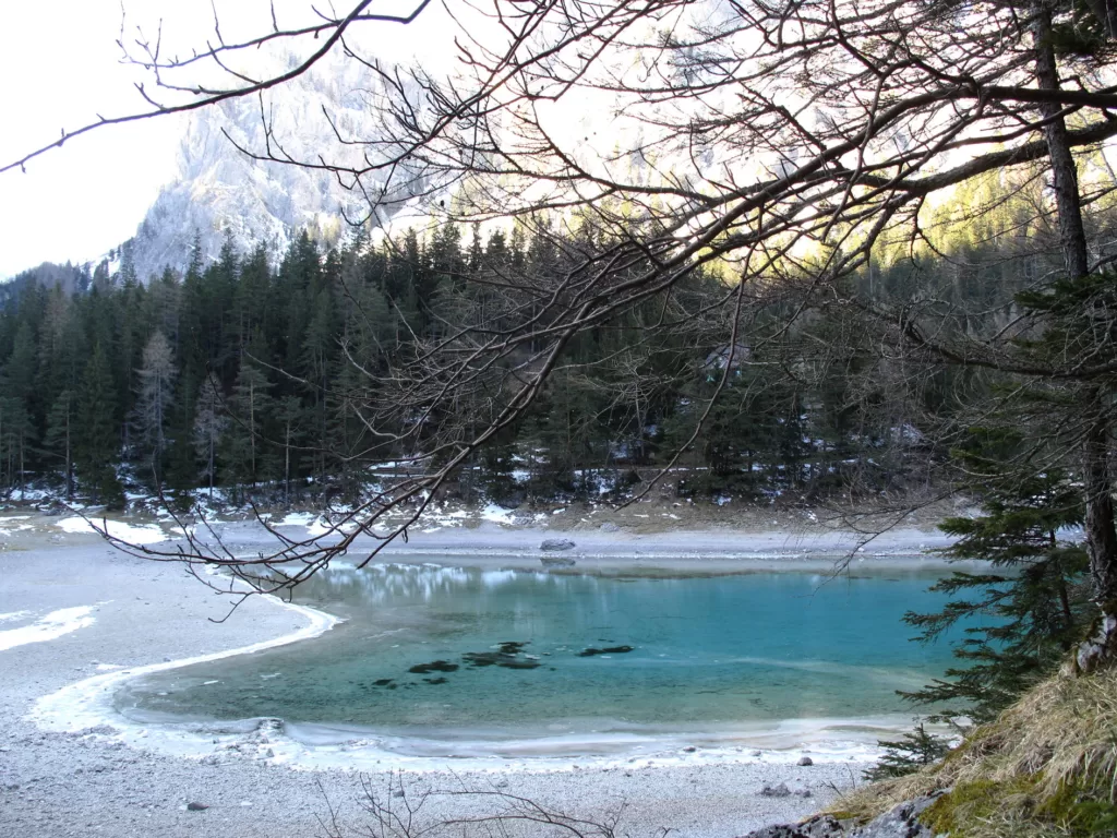 Парк под водой - зеленое озеро зимой