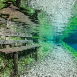 Парк под водой - зеленое озеро