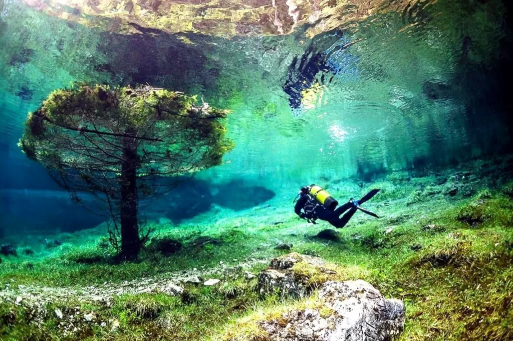 Парк под водой - зеленое озеро